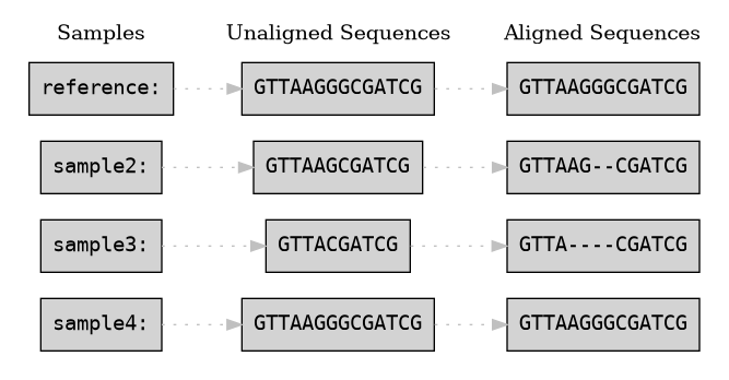 digraph Alignment {
    rankdir=LR;
    node [shape=box, style=filled, fontname="Courier"];

    subgraph cluster_sequences {
        label="Samples";
        style=rounded;
        color=grey;
        penwidth=0;

        s1 [label="reference:"];
        s2 [label="sample2:"];
        s3 [label="sample3:"];
        s4 [label="sample4:"];
    }

    subgraph cluster_unaligned {
        label="Unaligned Sequences";
        style=dotted;
        color=lightgrey;  // Slightly different color
        penwidth=0;

        u1 [label="GTTAAGGGCGATCG"];
        u2 [label="GTTAAGCGATCG"];
        u3 [label="GTTACGATCG"];
        u4 [label="GTTAAGGGCGATCG"];
        u1 -> u2 [style=invis];
        u2 -> u3 [style=invis];
        u3 -> u4 [style=invis];
        {rank=same; u1; u2; u3; u4;}
    }


    subgraph cluster_alignment {
        label="Aligned Sequences";
        style=dotted;
        color=grey;
        penwidth=0;

        a1 [label="GTTAAGGGCGATCG"];
        a2 [label="GTTAAG--CGATCG"];
        a3 [label="GTTA----CGATCG"]
        a4 [label="GTTAAGGGCGATCG"];
        a1 -> a2 [style=invis];
        a2 -> a3 [style=invis];
        a3 -> a4 [style=invis];

        {rank=same; a1;a2;a3;a4;} // Force alignment to same rank
    }

    // Link corresponding sample to unaligned and then aligned sequences
    s1 -> u1 [style=dotted, color=grey];
    s2 -> u2 [style=dotted, color=grey];
    s3 -> u3 [style=dotted, color=grey];
    s4 -> u4 [style=dotted, color=grey];


    u1 -> a1 [style=dotted, color=grey];
    u2 -> a2 [style=dotted, color=grey];
    u3 -> a3 [style=dotted, color=grey];
    u4 -> a4 [style=dotted, color=grey];



}