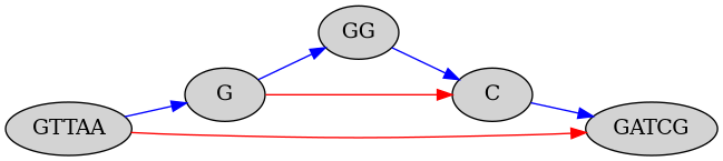 // Pangenome Representation
digraph PangenomeGraph {
    rankdir=LR; // Set graph direction to left-to-right

    // Define nodes with labels representing the genome structure
    GTTAA [label="GTTAA", style="filled,rounded"];
    G2 [label="G", style="filled,rounded"];
    GG [label="GG", style="filled,rounded"];
    C2 [label="C", style="filled,rounded"];
    GATCG [label="GATCG", style="filled,rounded"];

    // Define edges showing relationships or paths between nodes
    GTTAA -> G2 [color="blue"];
    GTTAA -> GATCG [color="red"];
    G2 -> C2 [color="red"];
    G2 -> GG [color="blue"];
    GG -> C2 [color="blue"];
    C2 -> GATCG [color="blue"];
}