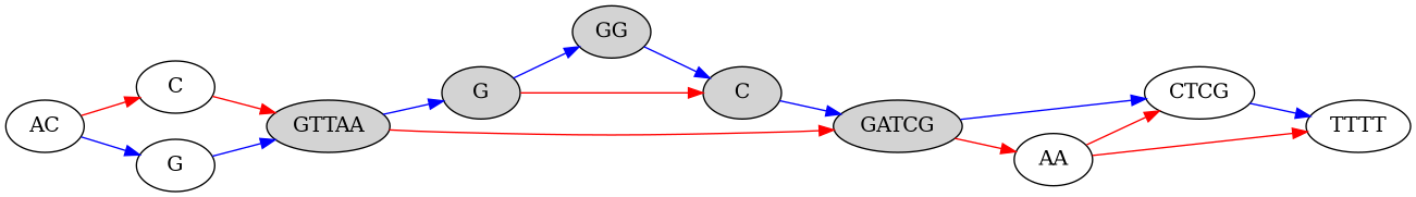 // Pangenome Representation
digraph PangenomeGraph {
    rankdir=LR; // Set graph direction to left-to-right

    // Define nodes with labels representing the genome structure
    AC [label="AC"];
    C1 [label="C"];
    G1 [label="G"];
    GTTAA [label="GTTAA", style="filled,rounded"];
    G2 [label="G", style="filled,rounded"];
    GG [label="GG", style="filled,rounded"];
    C2 [label="C", style="filled,rounded"];
    GATCG [label="GATCG", style="filled,rounded"];
    CTCG [label="CTCG"];
    AA [label="AA"];
    TTTT [label="TTTT"];

    // Define edges showing relationships or paths between nodes
    AC -> G1 [color="blue"];
    AC -> C1 [color="red"];
    G1 -> GTTAA [color="blue"];
    C1 -> GTTAA [color="red"];
    GTTAA -> G2 [color="blue"];
    GTTAA -> GATCG [color="red"];
    G2 -> C2 [color="red"];
    G2 -> GG [color="blue"];
    GG -> C2 [color="blue"];
    C2 -> GATCG [color="blue"];
    GATCG -> CTCG [color="blue"];
    GATCG -> AA [color="red"];
    AA -> CTCG [color="red"];
    CTCG -> TTTT [color="blue"];
    AA -> TTTT [color="red"];
}